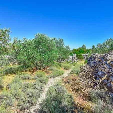 House Volak Neviđane