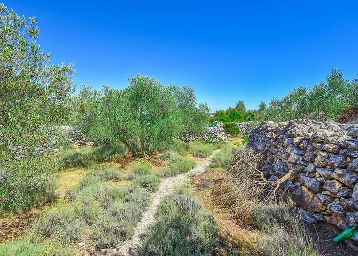 House Volak Neviđane